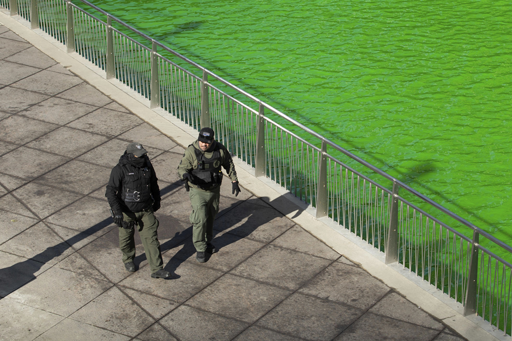 3��13������ȫ�ˆT������֥�Ӹ�Ⱦ�G��֥�Ӹ����ֵ�������A��/��