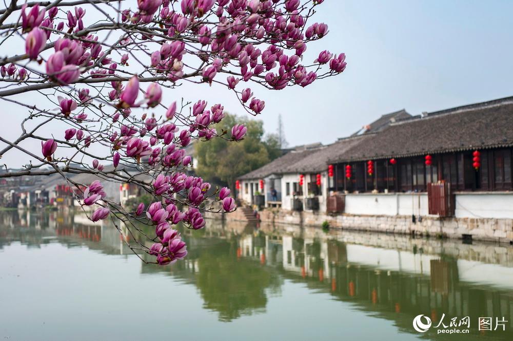 314KʡKɹۉɫz