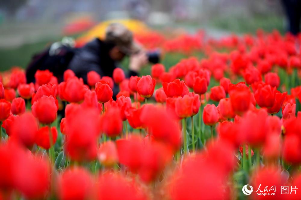 318ʡϲО_ͤhrС悃ʢ_rz