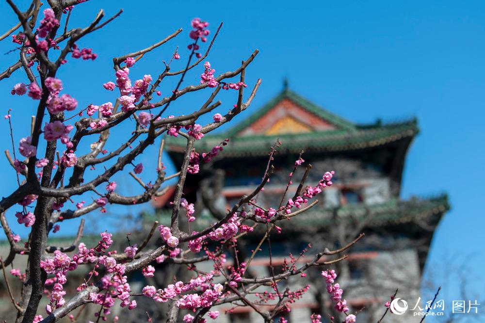 321ꖹǉzַ@ɽһ÷ʢ_Sοǰ^pWӛ z