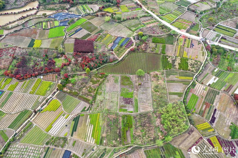 323ʡϲн_^ľ̼t{ɫrz