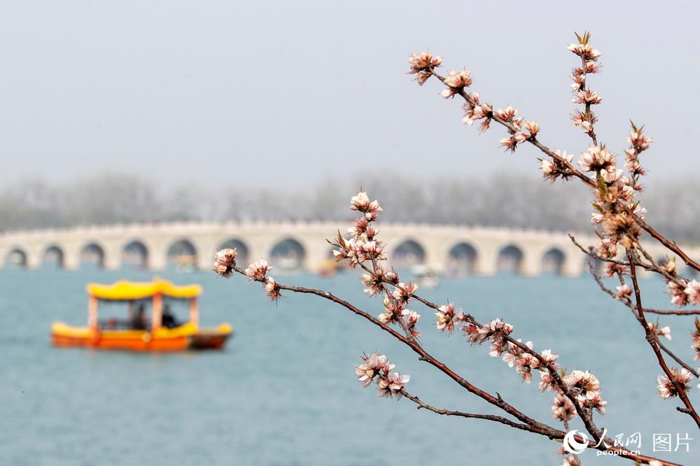 325U͈@ʢ_ɽһch̎ʮ߿טӳrWӛ z