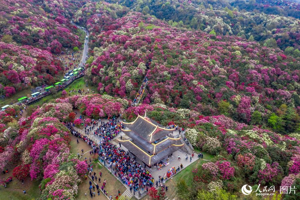 327FʡаN¾^N_,οǰp^Ϳz