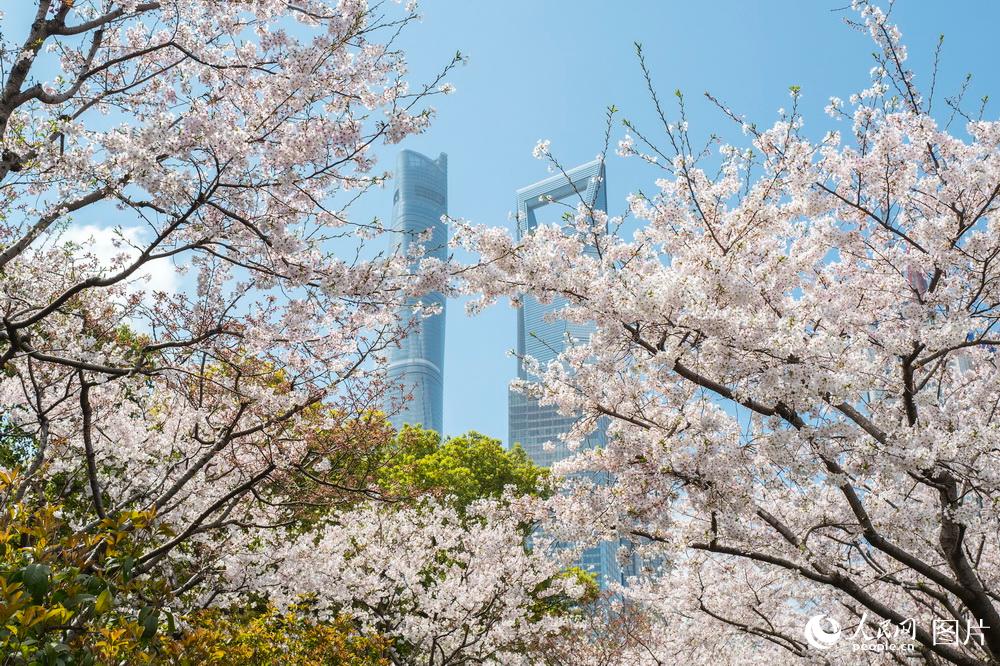 326ϺF̖|·վڵęѻʢ_ch̎ꑼؘ˽ӳȤz