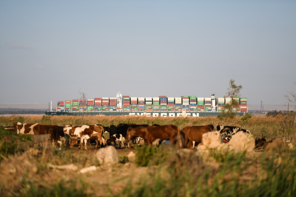 @329ĔzƄKʿ\ϵ؛݆