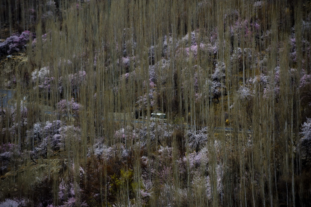 �@��܇�v����ڰͻ�˹̹�����������غ��_�؅^�Ŀ���������·�ϣ�2015��3��24�Քz�������A��ӛ�� �S���� �z