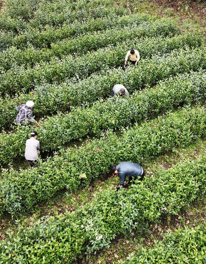 FʡxЊɽ~ITڲ@ʩrҷʣ202112Քzo˙CƬAl_ǝh z