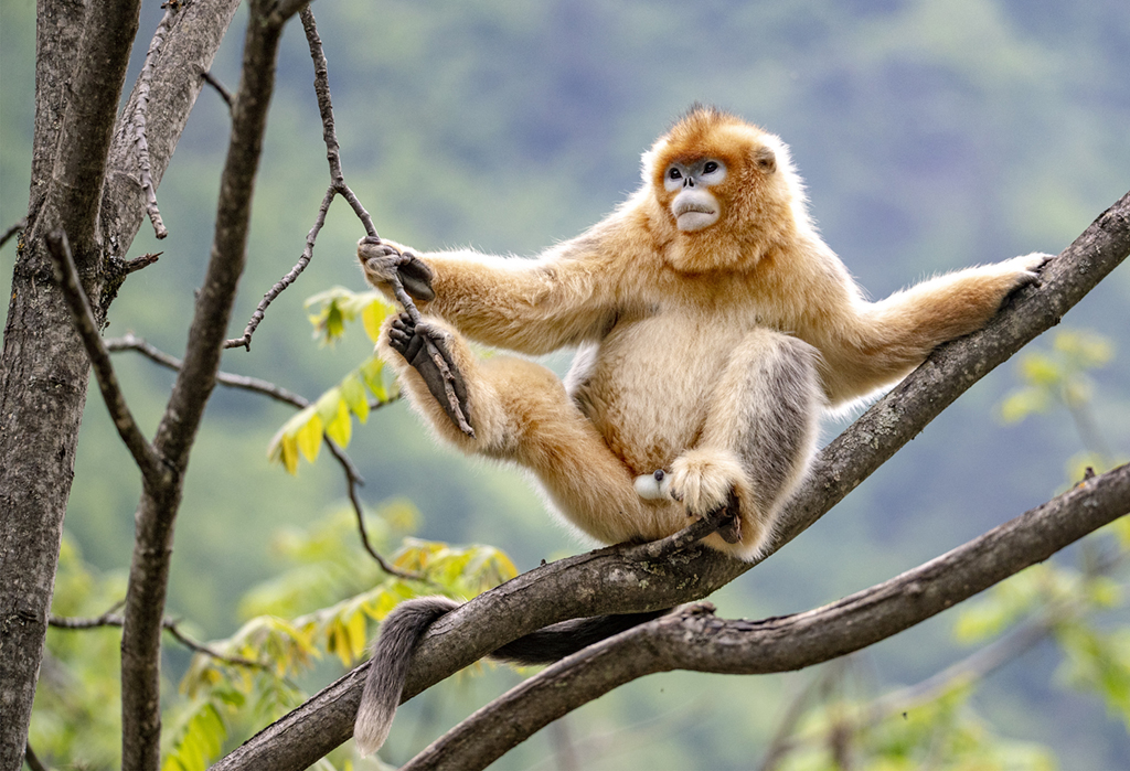 ĴΣҰzґҒʳ ȑBʮːۡ4