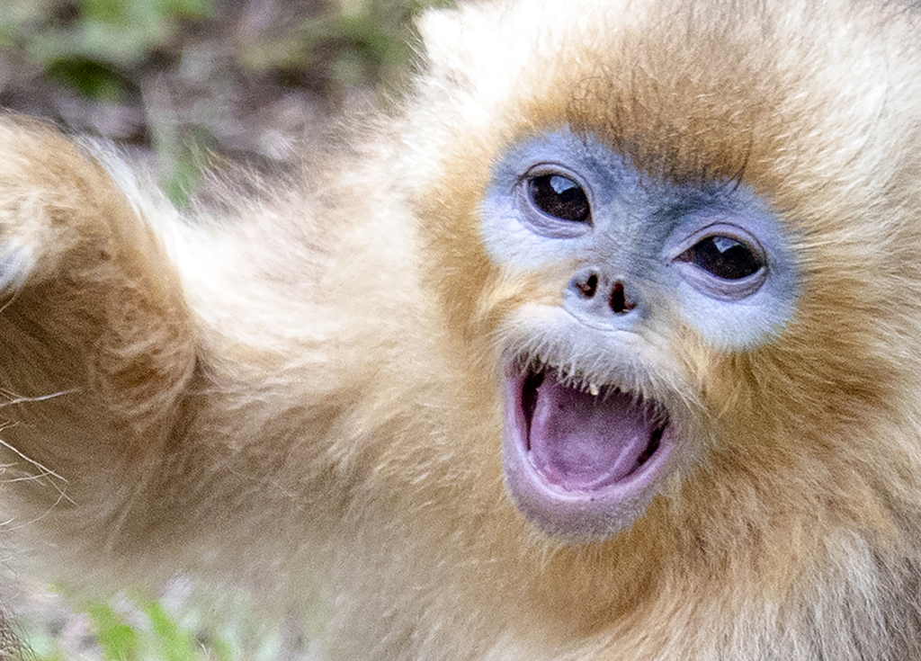 ĴΣҰzґҒʳ ȑBʮːۡ5