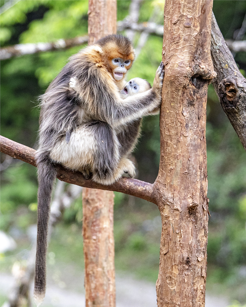 ĴΣҰzґҒʳ ȑBʮːۡ6