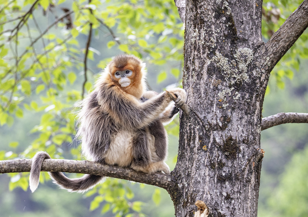 ĴΣҰzґҒʳ ȑBʮːۡ8