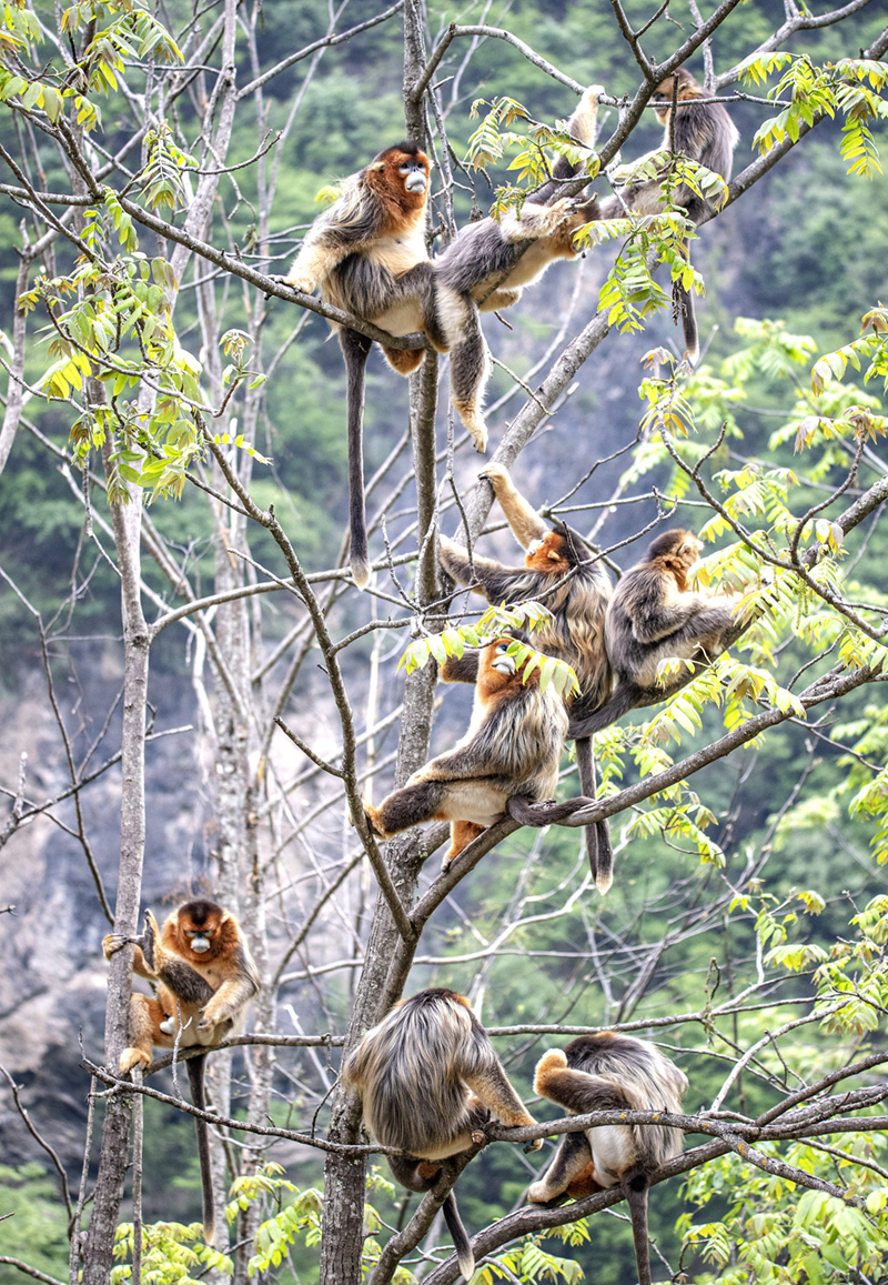 ĴΣҰzґҒʳ ȑBʮːۡ9