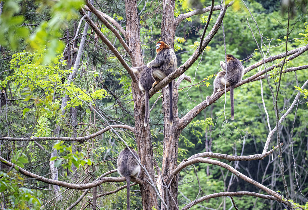 ĴΣҰzґҒʳ ȑBʮːۡ7