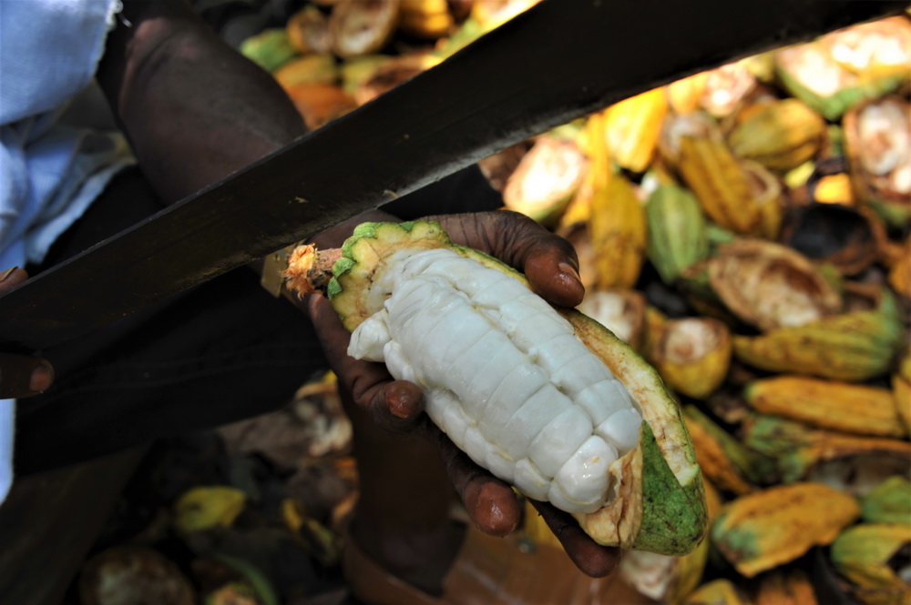 511ڼӼ{|ʡһ̎ɿɷNֲ@һNֲڿɿɹȡrĿɿɶ