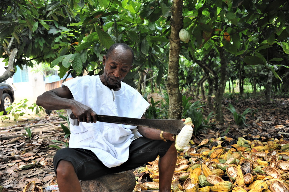 511ڼӼ{|ʡһ̎ɿɷNֲ@һNֲڿɿɹȡrĿɿɶ