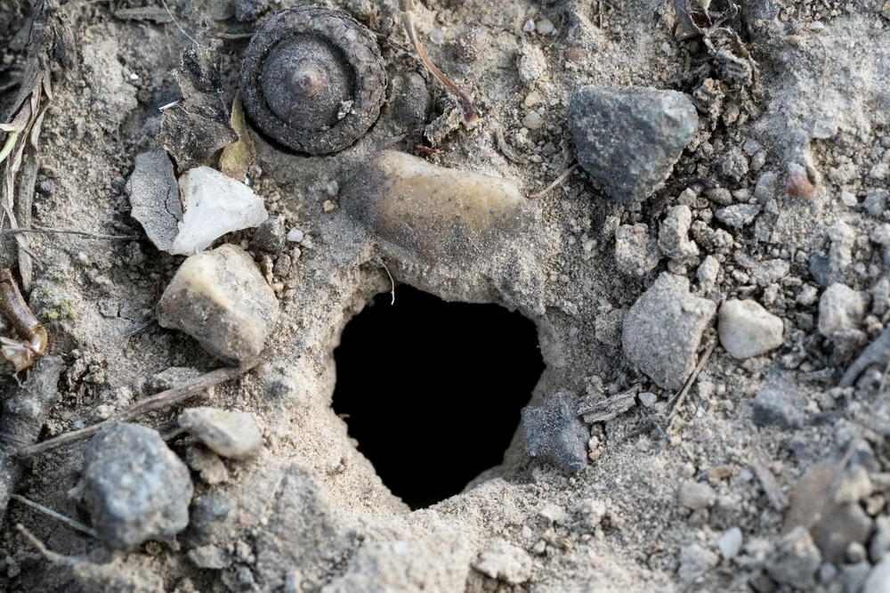 @519၆ݰ`DĔz17s@µĶ