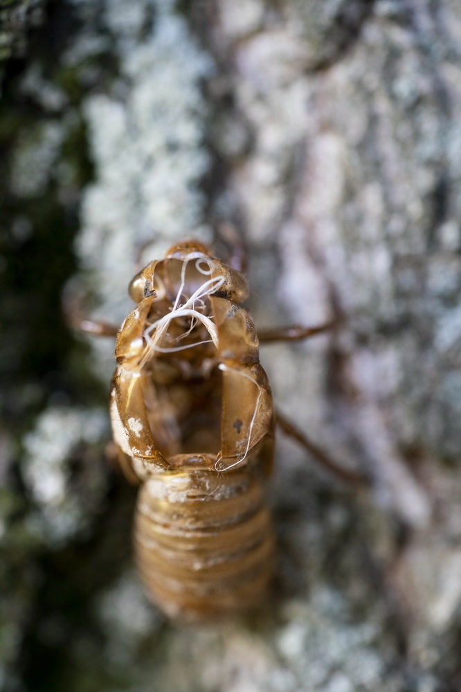 @518၆ݰ`DĔz17ss͑