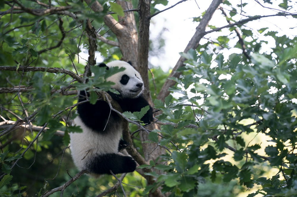 @520AʢDʷɭW҄@ĔzԴ؈̡СE