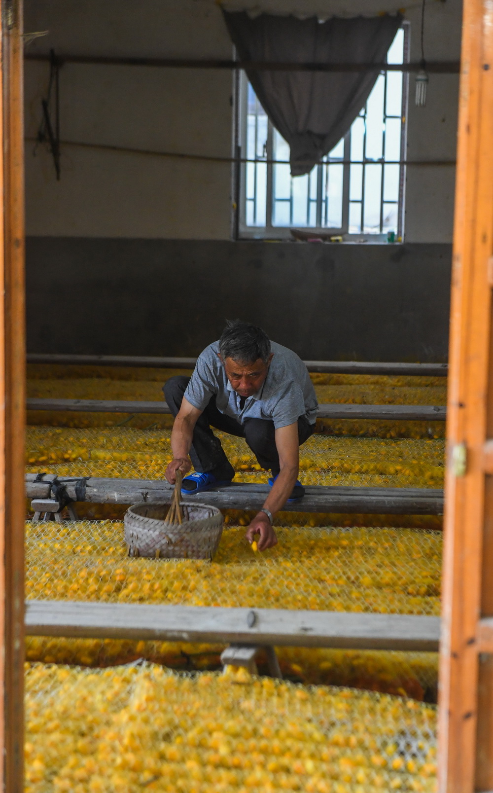 525㽭ʡͩlPQֵٴի@SOAӛ  z