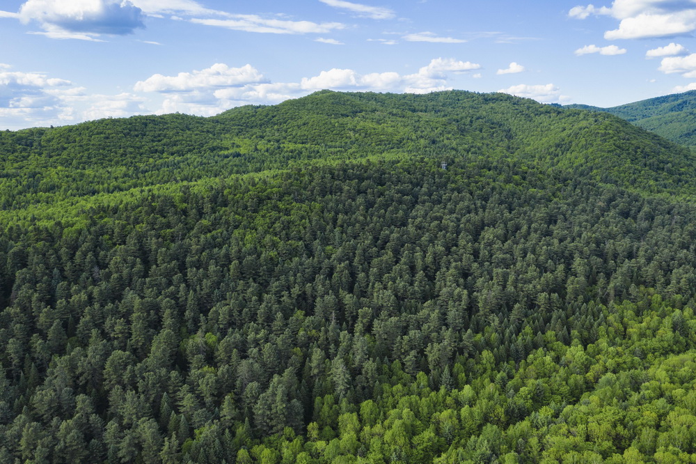 62ĔzϸʎXϪˮɭֹ@ɫo˙CƬ