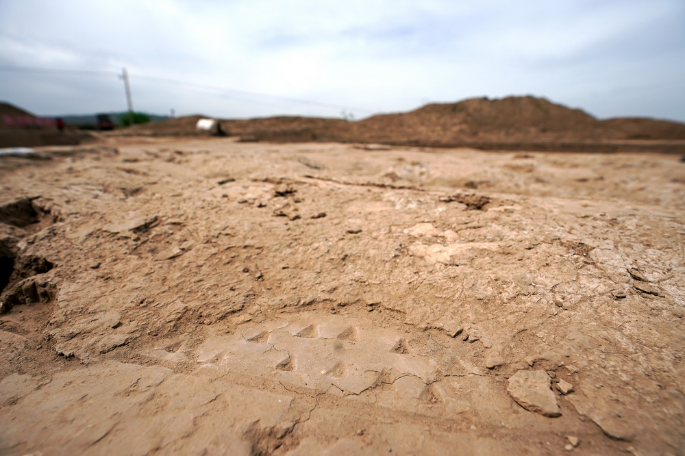 zַmǃȴͺַϵķַbޡĺE63Քz