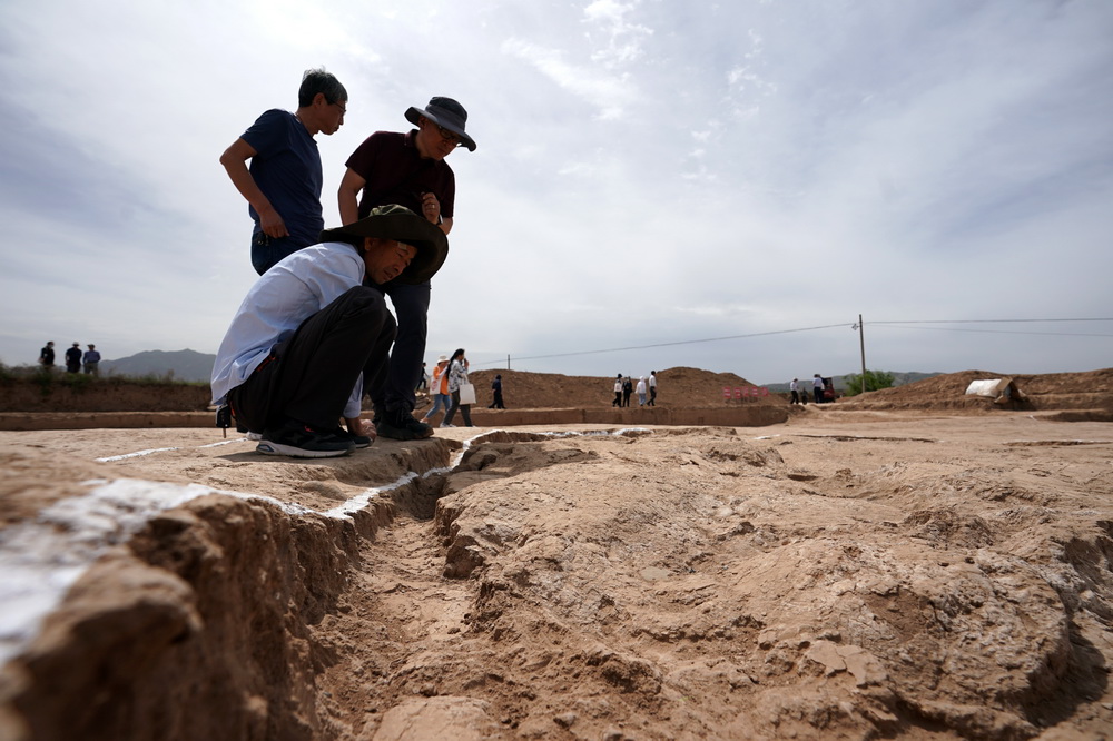 zַmǃȵĴͺַŹڲ鿴ַbޡĺE63Քz