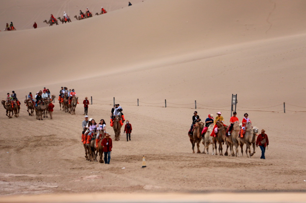 613οڸCʡػQɳɽȪ^[Al z