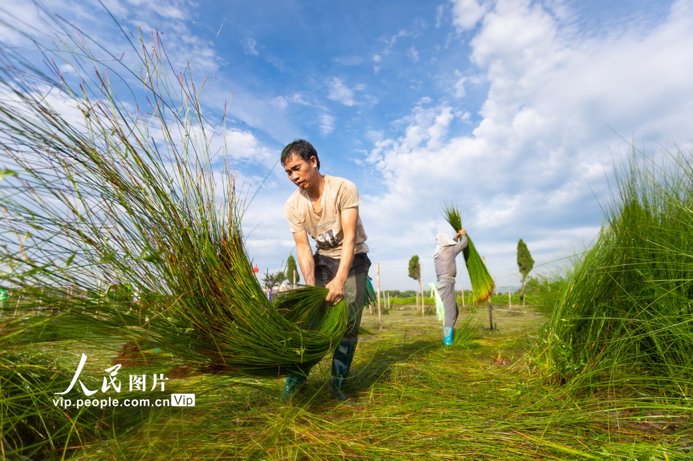 2021615ڌ^rոA