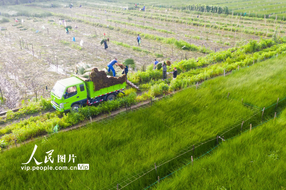 2021615^rڰAݱ܇