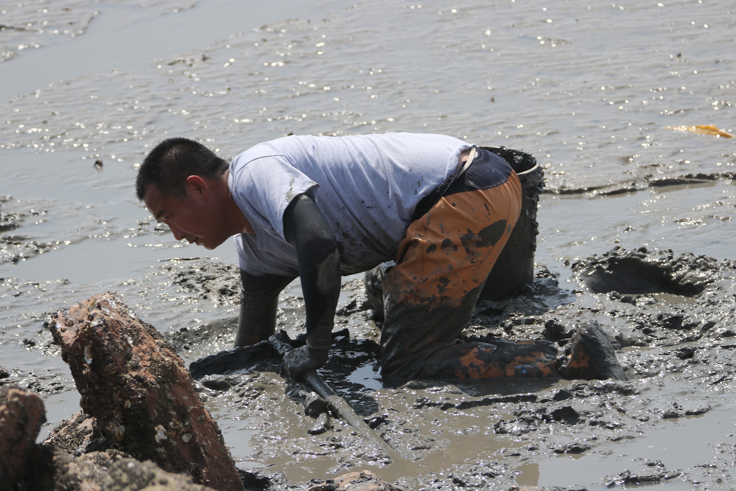 2021616ɽ|ʡuڰع@ͿڿO|