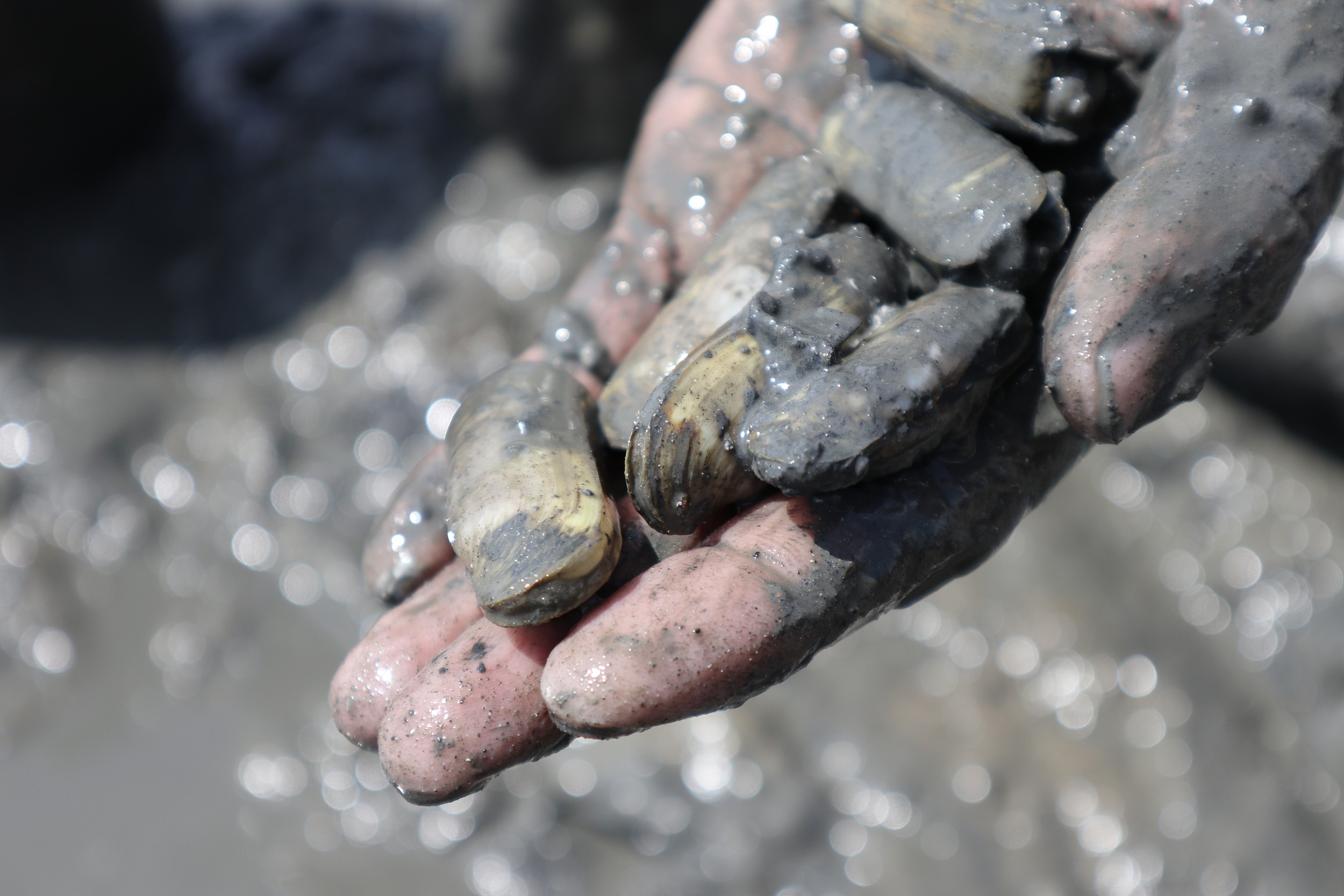 2021616ɽ|ʡuڰع@ͿڵĿO|