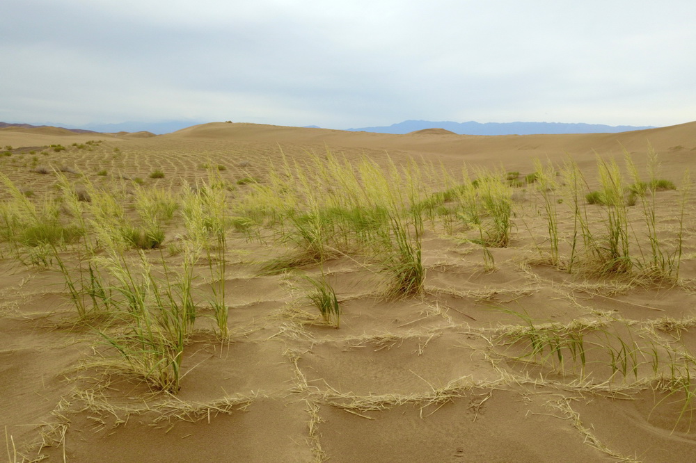 @616ĔzRɿhɺĮ^o˙CƬ