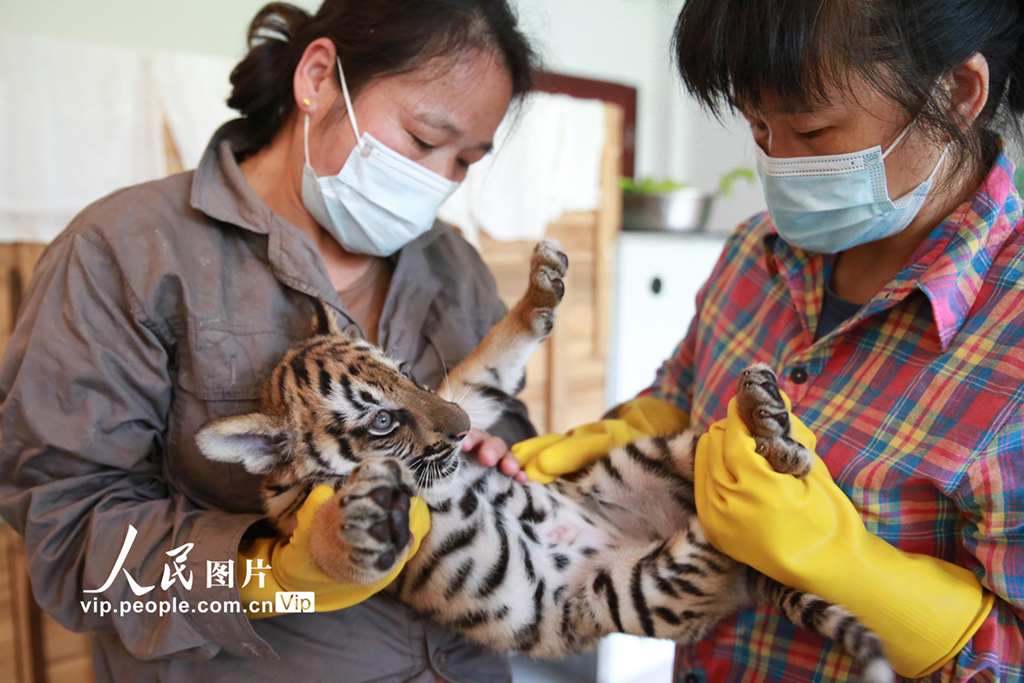 2021617@뎟ڽoСϻMwz