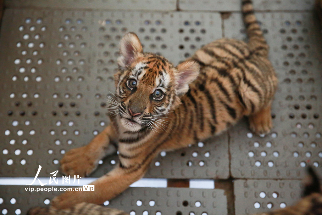 2021617ϲ@҃ȵAϻ