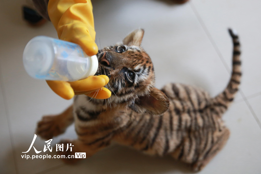 2021617@뎟ڽoСϻιˮ