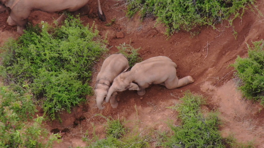 617ϪThʮlĔzСґ[˲go˙Cҕl؈D