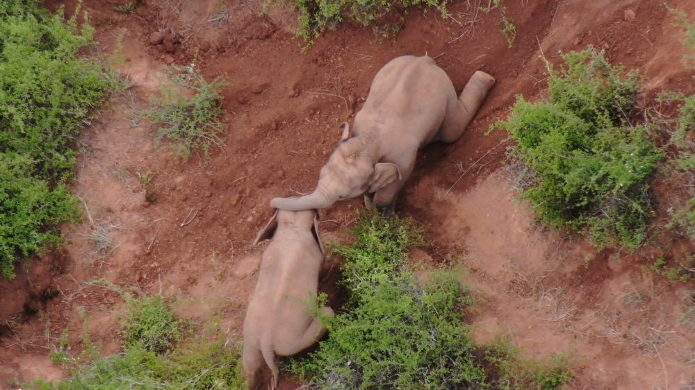 617ϪThʮlĔzСґ[˲go˙Cҕl؈D