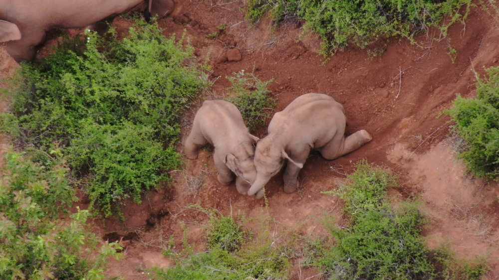 617ϪThʮlĔzСґ[˲go˙Cҕl؈D