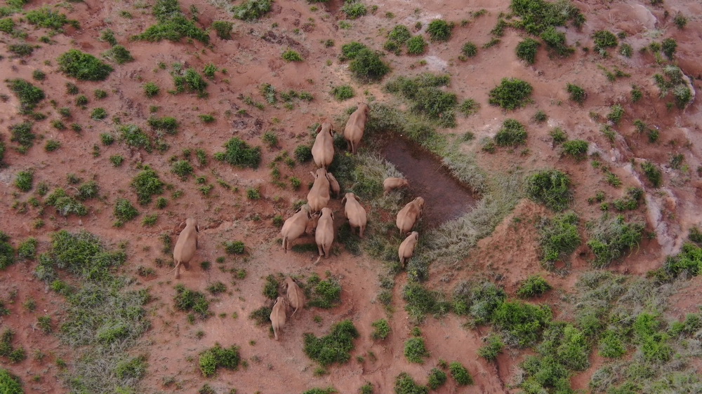 617ϪThʮlĔzȺo˙Cҕl؈D