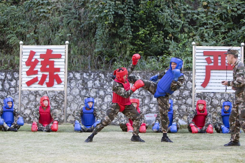 侯V꠳֧ꠈڴꠑ{꠹ٱ_չ􌦿Ӗ115ՔzAlຣ z