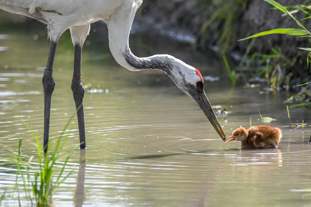 621굤QorQιʳ