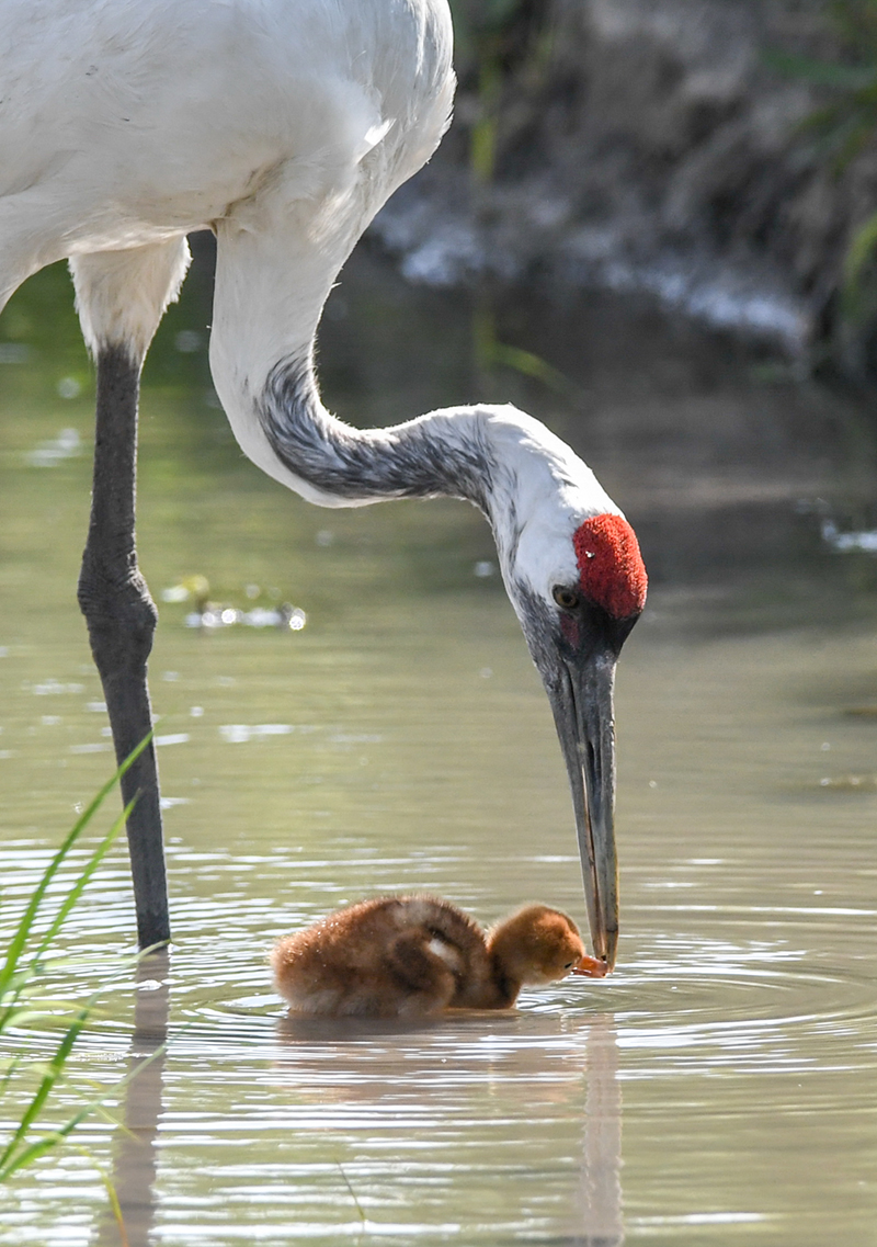 621굤QorQιʳ