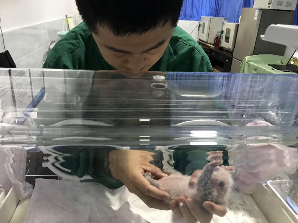 623ؑc@ˆT؈