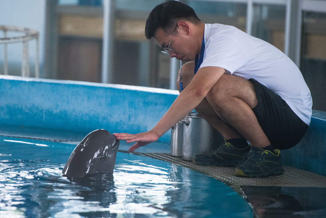 75пԺˮD^BTLMӖ