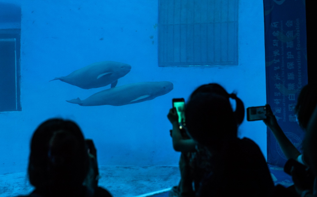 75СЇƌWԺˮоD^eеġ¡ϵпջ^@Lĸ