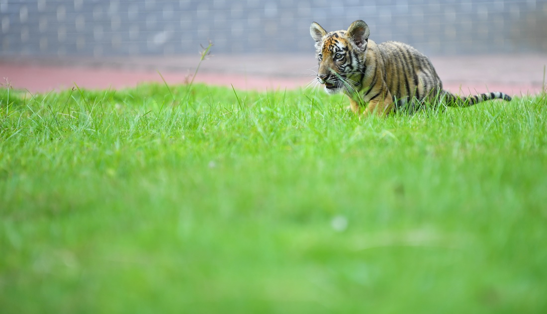 ڏV|PAϻоAϻґˣ76Քz