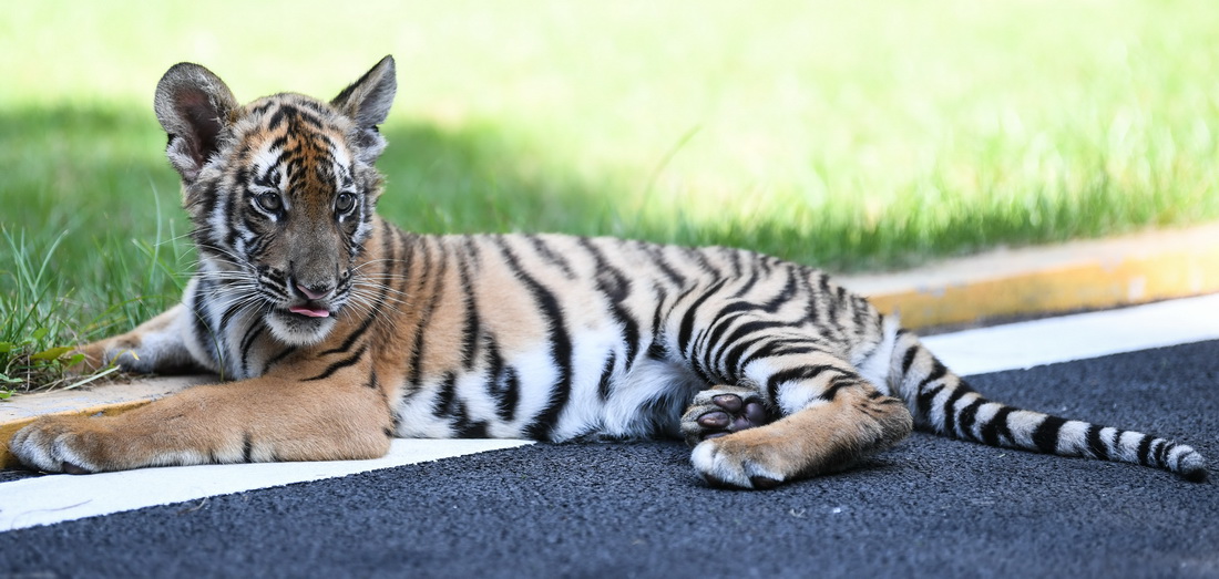 ڏV|PAϻоAϻґˣ76Քz