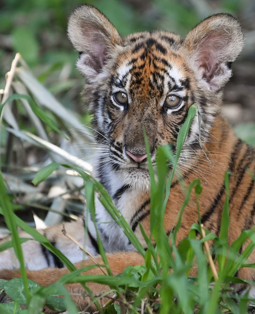 ڏV|PAϻоAϻڼסġ׃@Ϥh76Քz