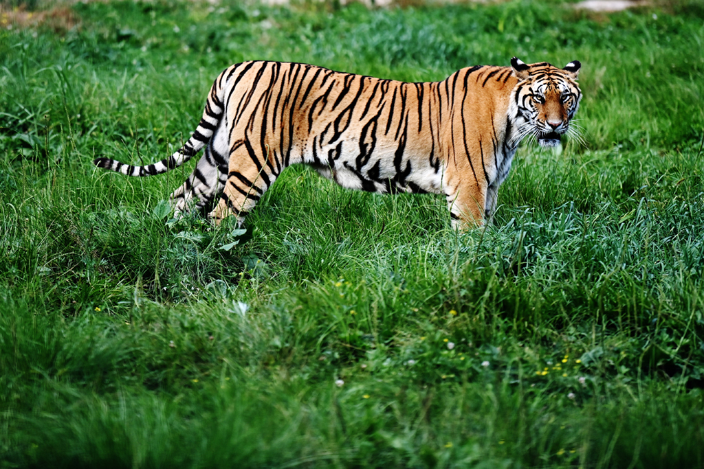 ڙMӖ|ֈ@ҰӖ^һֻ|߄ӣ726Քz