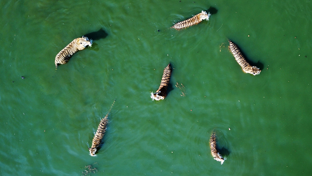 @727ĔzęMӖ|ֈ@ҰӖ^ˮеĖ|o˙CƬ